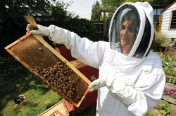 Beekeeping clothing north vancouver